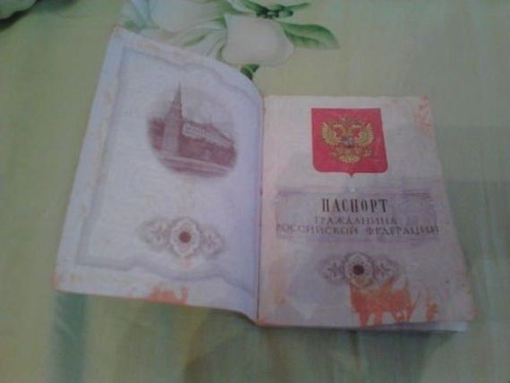 прописка в Дятьково